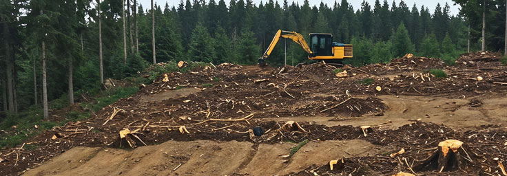 Land Clearing
